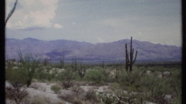 1971: an array of desert plants beneath the mountains CALIFORNIA