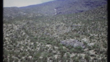 1971: beautiful nature place around the forest CALIFORNIA