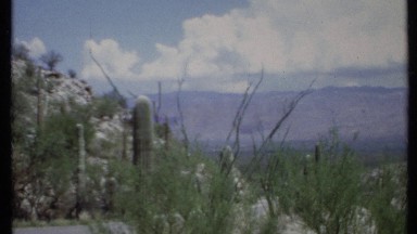 1971: a beautiful view of the desert and all of the mountains and native flora