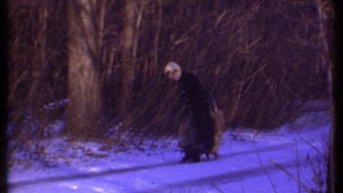 1979: a man pull in the track with man ITHACA NEW YORK