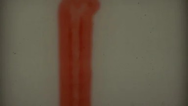 1979: Lead Tape Running Before a Film Begins in Ithaca, New York