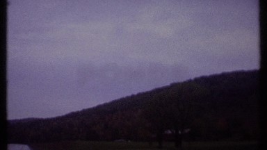 1979: view of a field with many types of vegetation growing on all sides