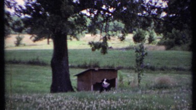 1971: the beautiful view of the nature CALIFORNIA