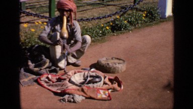 1970: this indian man is shown calming the cobra snake by playing