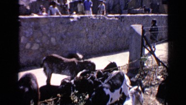 1970: a view at life in the tropics INDIA