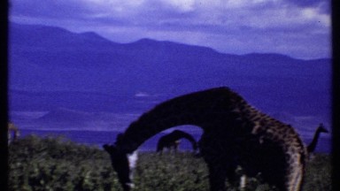 1969: The Beautiful View of Nature in Kenya