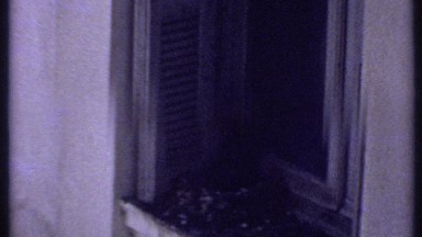 1969: a pigeon on a ledge KENYA