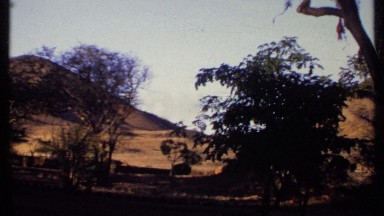 1969: a desert area, few trees around, a car is parked KENYA