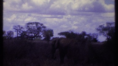 1969: open land of the nature KENYA