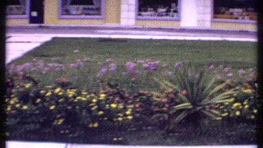 1969: the beautiful view of the nature BAHAMAS