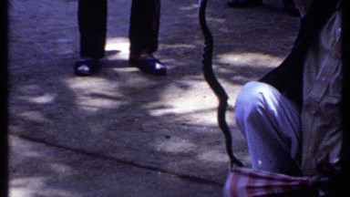 1969: Man Entertains Crowd with Snake and Wolf at Outdoor Performance