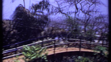 1969: a bridge winding through trees with a sign in the background INDIA