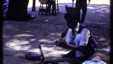 1969: a man lets snake dance by playing a special wind music instrument INDIA