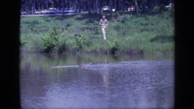 1968: a man overlooks a lake where ducks are swimming around. FLORIDA