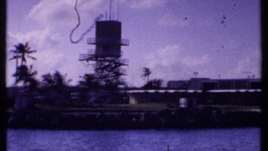 1969: vehicles driving along the coastline as seen through palm trees
