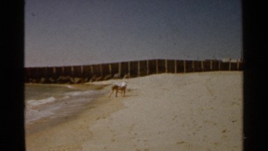 1959: the two persons are doing something on the seashore SAN FRANCISCO