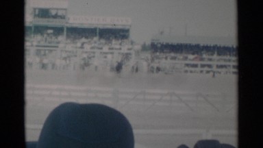 1960: People Watching Horse Stunt in Cheyenne Wyoming