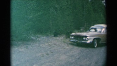 1961: Cars Parked on Road Passing Through Forest to See Bear Crossing