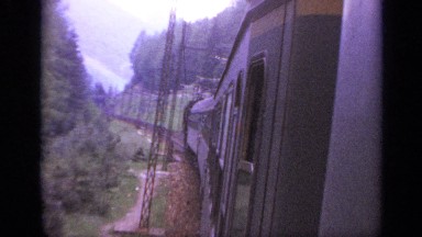 1962: a train is travelling in middle of the forest, high trees around ITALY