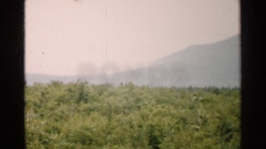 1952: a nice icy mountain captured with trees around its surroundings
