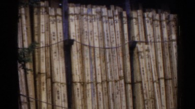 1953: arranged thing in the godown JAPAN