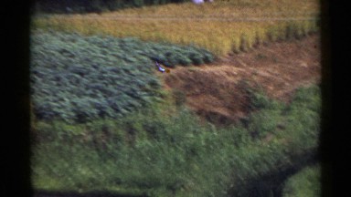 1953: viewing agricultural place JAPAN