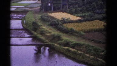 1953: a beautiful morning time with a house alone with good nature surrounding.