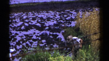 1953: video of a man working hard in the field getting his field ready for crops
