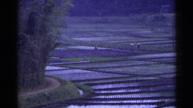 1953: farmers working in an irrigated field located below the hills JAPAN