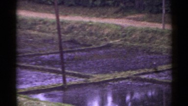 1953: wet fields on a farm with a couple people between them JAPAN