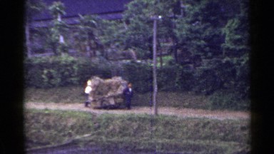 1953: two friends haul hay along a walking trail in a wheeled cart. JAPAN