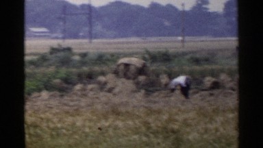 1953: men gathering hay in a field JAPAN