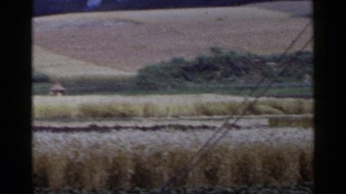 1953: a panorama of several farms in the countryside JAPAN