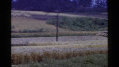 1953: yellow grass and brush surrounded by small hills and trees JAPAN