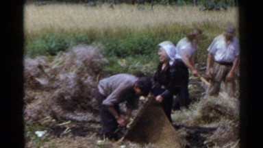 1953: a group of people having a good time doing their work in the fields, JAPAN