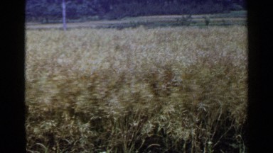 1953: A Beautiful Japanese Village with Scenic Countryside and Traditional Homes
