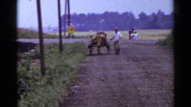 1953: man walking down dirt road beside donkey pulled cart. JAPAN
