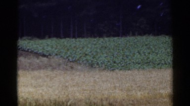 1953: farmers field in summer. JAPAN