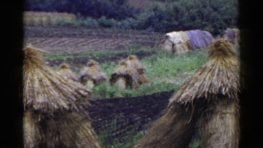 1953: an agricultural scene of a land that is being farmed