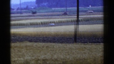 1953: worker is bent over on farmland between golden fields of tall crops JAPAN