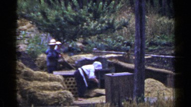 1953: Amish Trio in Traditional Garb Work Hard in Rural Paddock, Japan