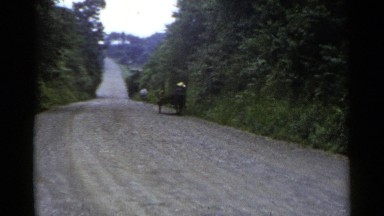 1953: bicyclist follows bull pulling cart with person wearing wide hat JAPAN