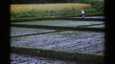 1953: man working in the field JAPAN