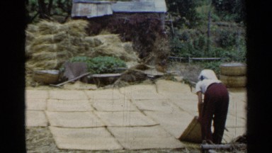 1953: two lady farmers are working at their land JAPAN