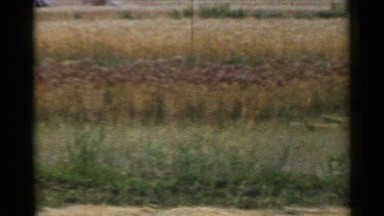1953: rolling footage of farmers in a field cutting hay. JAPAN