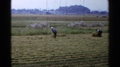 1953: people are working their land JAPAN