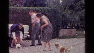 1961: family with dogs on a windy day GERMANY