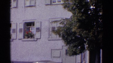 1961: woman looking at trees out the window of her big grey beautiful house.
