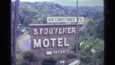 1961: view of a lot of greenery and a few buildings with a side encased