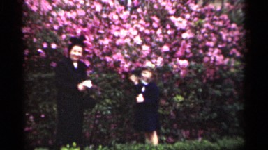 1949: people standing outside dressed in nice clothes near a large bush